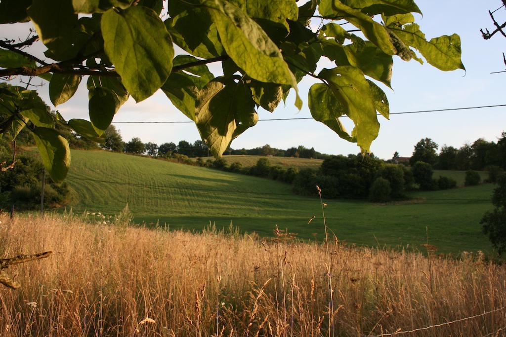 Domaine De Romefort Saint-Léonard-de-Noblat Rom bilde