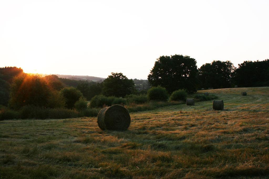 Domaine De Romefort Saint-Léonard-de-Noblat Rom bilde