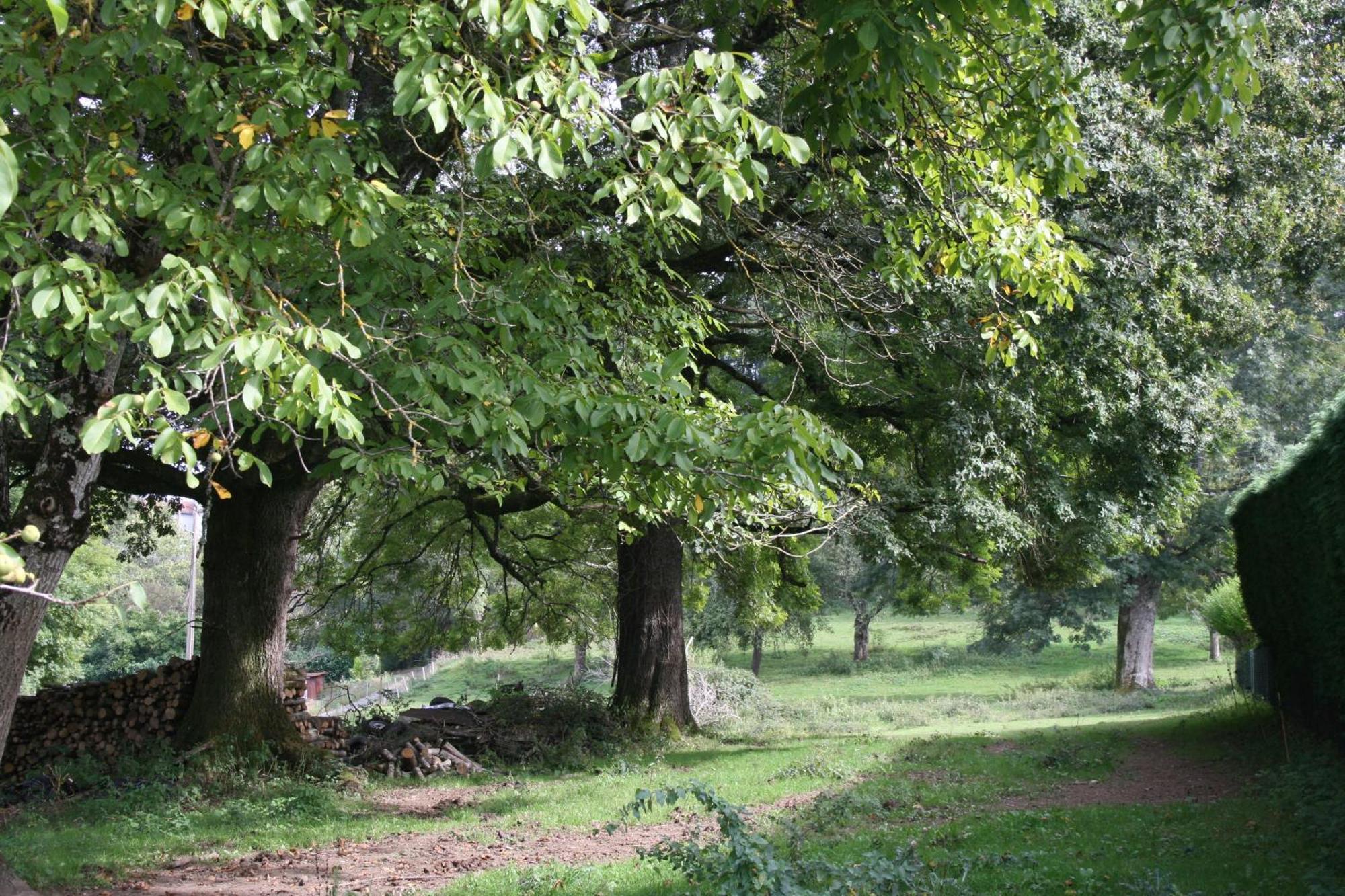 Domaine De Romefort Saint-Léonard-de-Noblat Eksteriør bilde